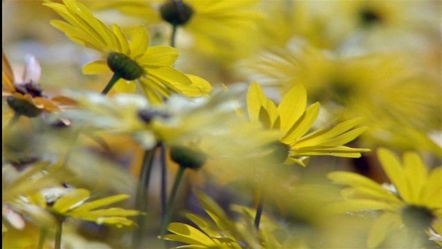 Планета Земля. 7 серия. Документальный фильм.