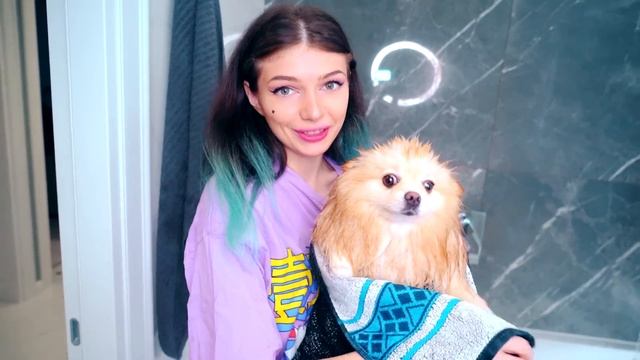 КУПАЮ В ВАННОЙ КОШКУ И СОБАКУ | Котик и Песик Купаются в ПЕНЕ