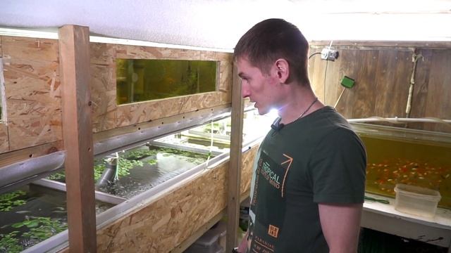 Новые укрытия для рака. Селекция. Проекты под ключ. Фильтрация.