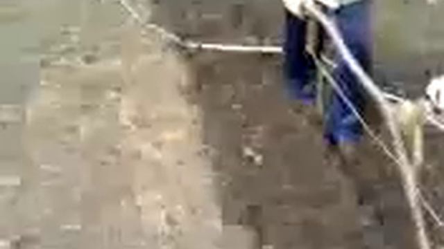 культиватор