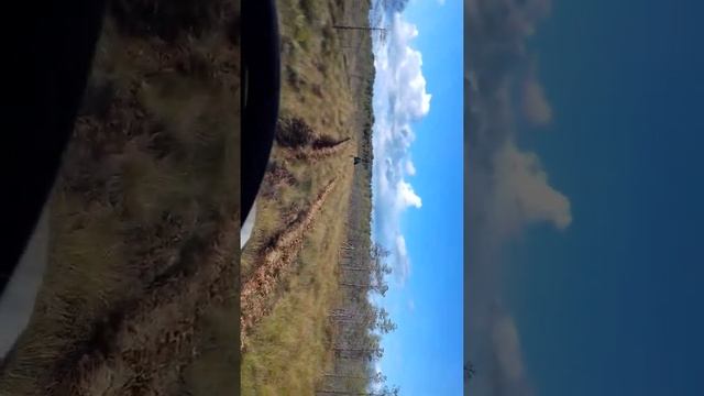 Покатушки по болоту  на болотоходе