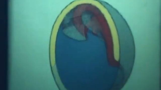 Онтогенез. Научфильм. (учебное видео СССР)