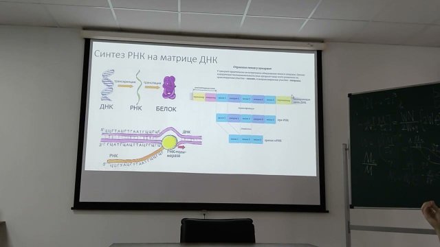 Экспрессия генов. Механизм процесса и методы изучения. Викторов Д.А.