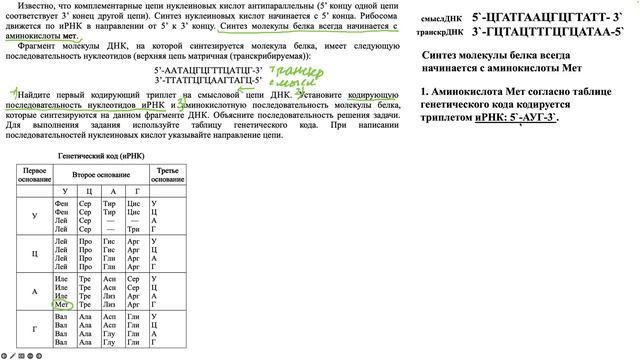 Задача на биосинтез белка, определение кодирующей последовательности нуклеотидов 52704.