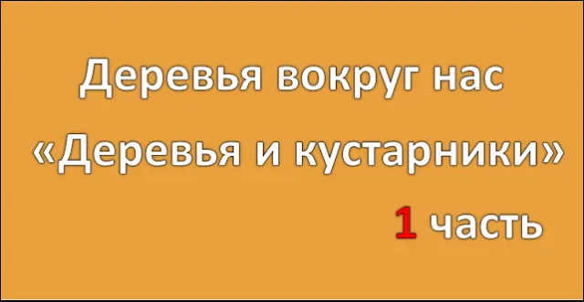 1ч Деревья вокруг нас Деревья и кустарники ЧДОУ Детский сад 198 ОАО РЖД