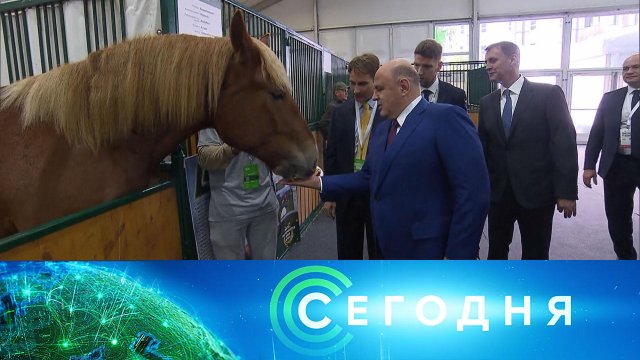 «Сегодня»: 5 октября 2023 года. 16:00 | Выпуск новостей | Новости НТВ
