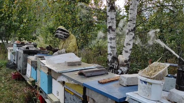 Пчёл готовлю к зимовке. Кормление  сиропом. Закормка пчёл в зиму. #пчеловодство #пчёл #зимовка_пчёл