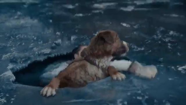 Зов предков Бэк спасает жизнь девушке