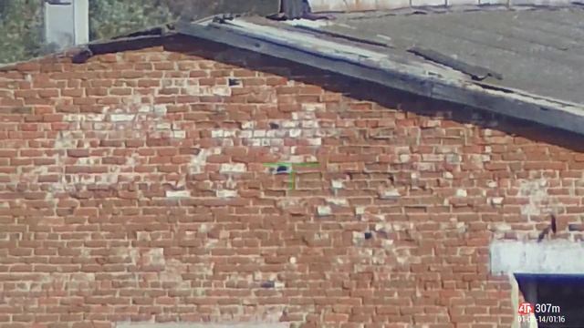 Попадание в сороку на 311 метров : Егерь псп пневматика . crow hunting