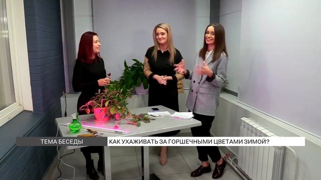 Как ухаживать за горшечными цветами в зимнее время года?