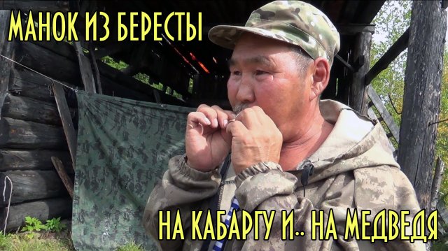 Как сделать манок на кабаргу и медведя из бересты.