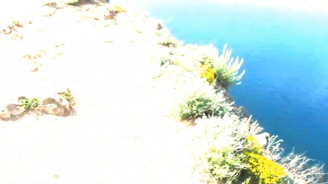 От Фиолента до Балаклавы: сентиментальный поход вдоль моря и вдоль себя Natura #1