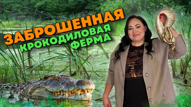Как мы кормили крокодилов | Крокодиловая ферма | Пхукет