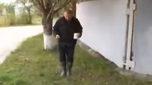 Как научить немецкую овчарку работать по следу