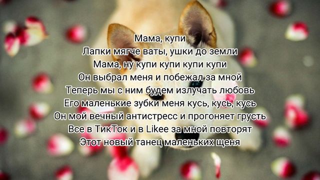 Милана Хаметова - Купи Пёсика//текст песни #recommendations #миланахаметова