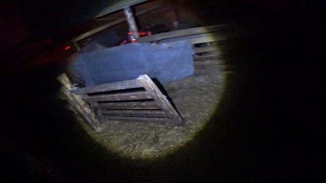 Охота из засидки на лису! СЕКРЕТ удачной привады! Удачная Охота на приваде!