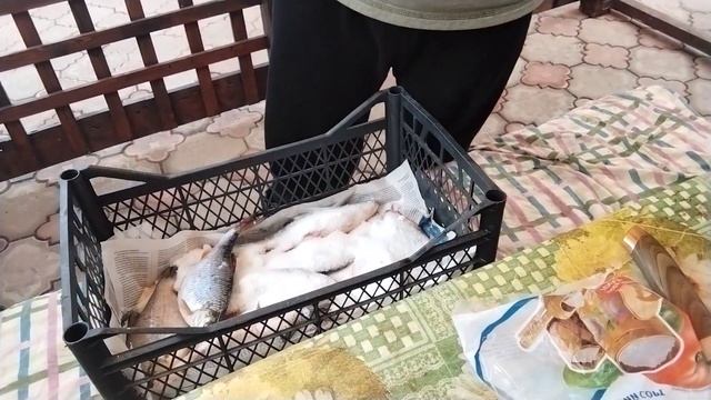 Стоит ли солить рыбу сухим посолом? Как я сделал честный эксперимент. Сухой посол рыбы.