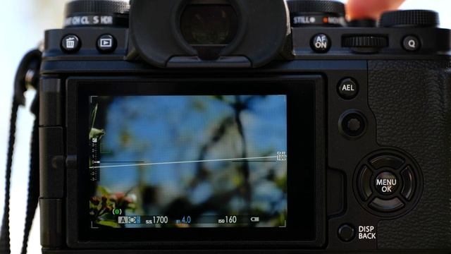 Работа автофокуса в режиме трекинга. FUJIFILM X-T4