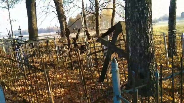 Деревни Липки и Войки (Брянская область, Почепский район, Дмитровский сельсовет)