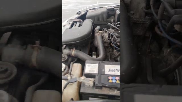 video5397895986871809040