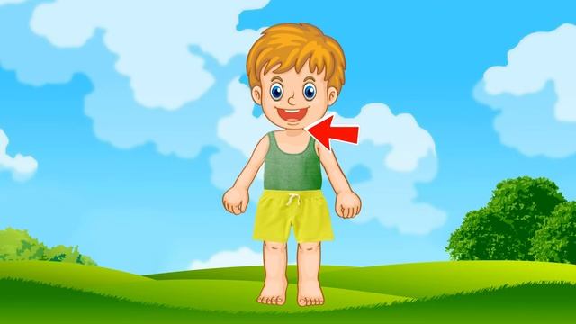 ЧАСТИ ТЕЛА. Лицо.