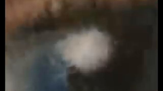 Светлана Сурганова - Мураками