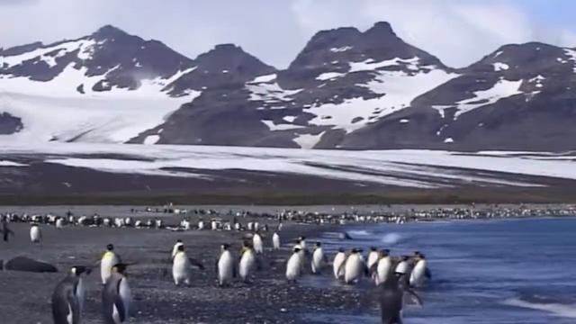 Антарктида интересное о материке!