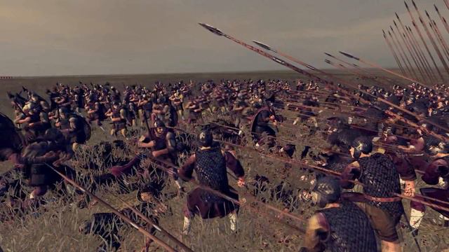 Total War ATTILA Лучшие пикинеры