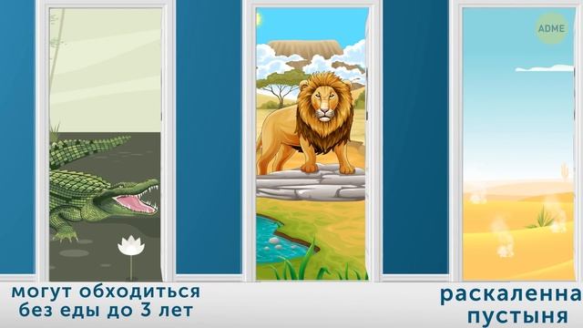 12 загадок, которые нужно решить, чтобы выжить