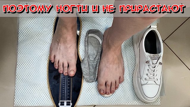 Живой прием!