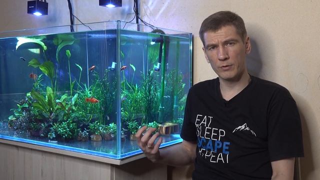 Почему не растут растения в аквариуме