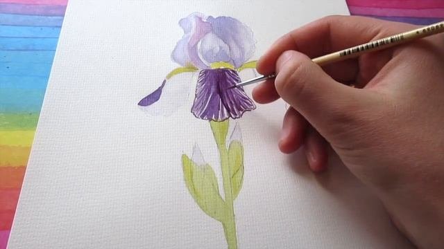РИСУНКИ ЦВЕТОВ / Как нарисовать ИРИС / красивые  рисунки для срисовки