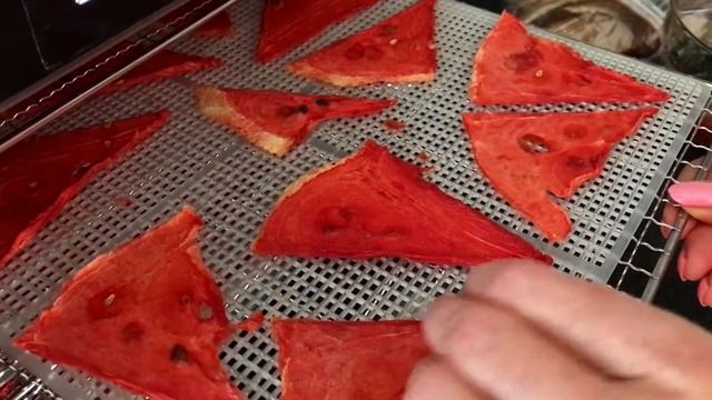 Сушка арбуза. Снеки и пастила из арбуза. Стоит ли это делать? Мой опыт и отзыв.