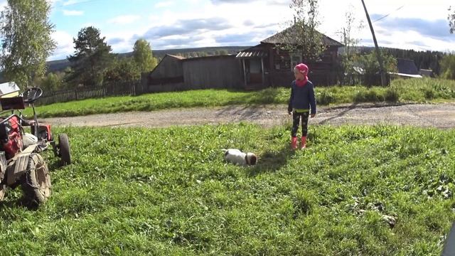 Хроника одного дня//деревенские будни
