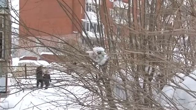 Мусором разбили машину
