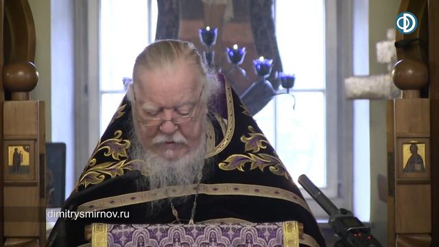 Протоиерей Димитрий Смирнов. Проповедь о лукавстве, равнодушии и духовной слепоте