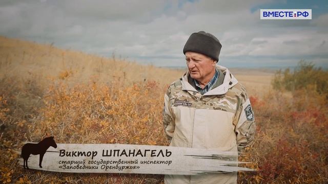 История Оренбургского заповедника. Заповедники РФ