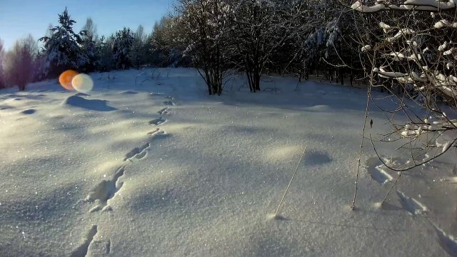 ОХОТА НА ЗАЙЦА С ПОДХОДА.mp4