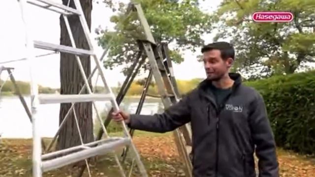 Обзор лестниц 3.99