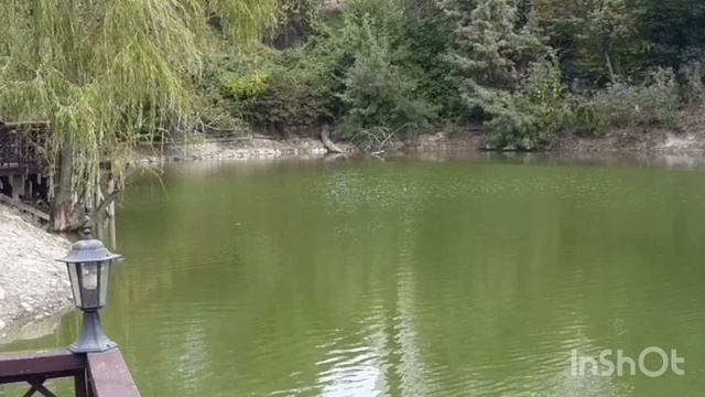 Аренда кафе