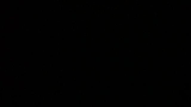 video41