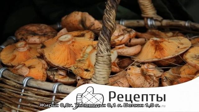 Как солить рыжики: вкуснейшие пошаговые рецепты засолки рыжиков с фото и видео, особенности пригот.