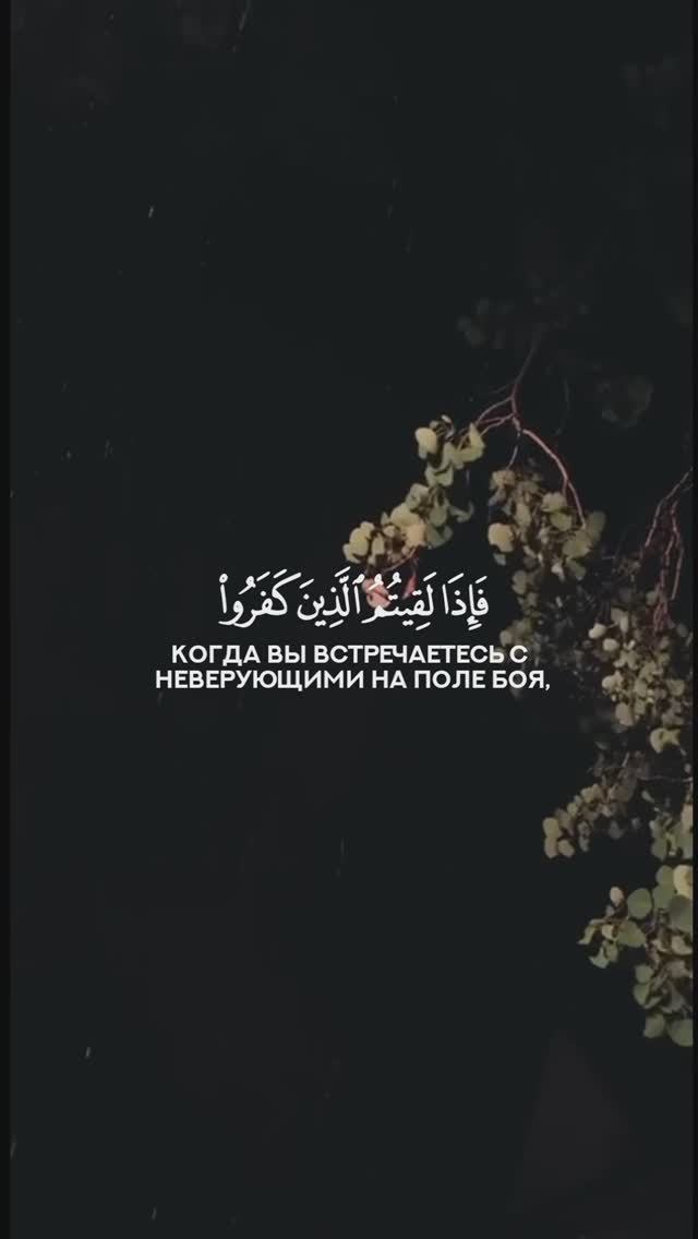 47 Muhammad | Мухаммад | سورة محمد verse 04 Tareq Mohammad Мухаммад Тарик