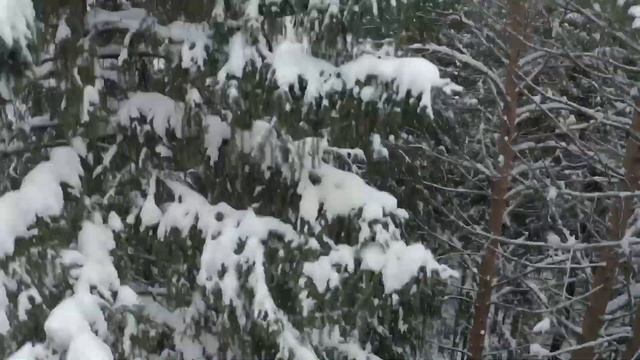 Kirov, Область, с. Порошино, с высоты птичьего полёта.