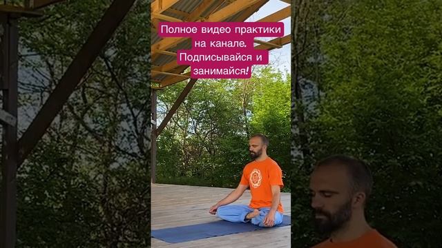 Хатха-йога для начинающих.