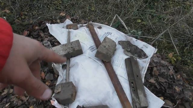 Как укрыть ежевику на зиму. Два самых простых и дешевых способа