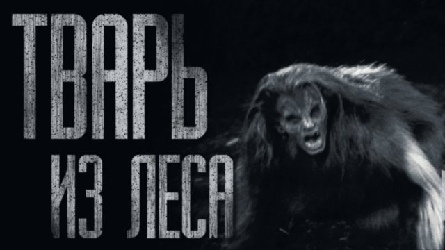 TBAPЬ ИЗ ЛЕСА... Страшные истории на ночь. Scary stories