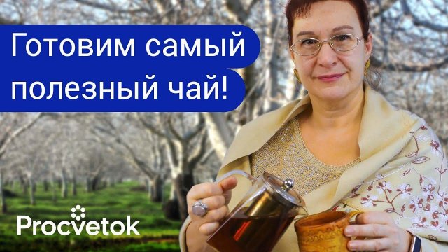 ИЗ МУСОРА ПОЛУЧАЮ ЗОЛОТО! Удивительные свойства ЧАЯ ИЗ ВЕТОК вишни, малины, яблони для здоровья