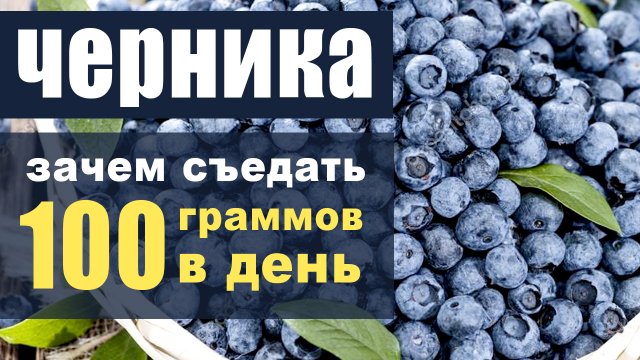 Черника – какая польза от 100 граммов в день?