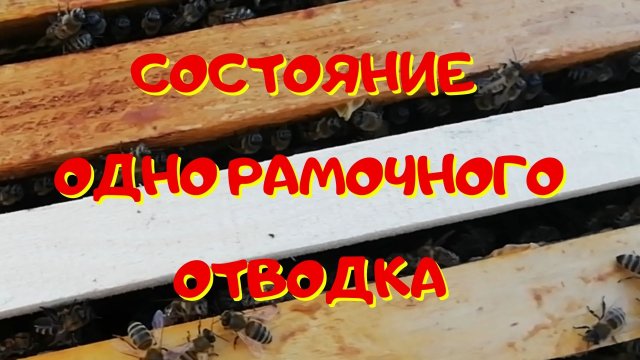 Проверка состояния отводка - Состояние одно рамочного отводка